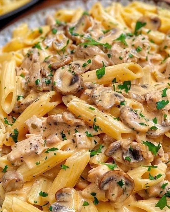 Massa com Atum e Cogumelos