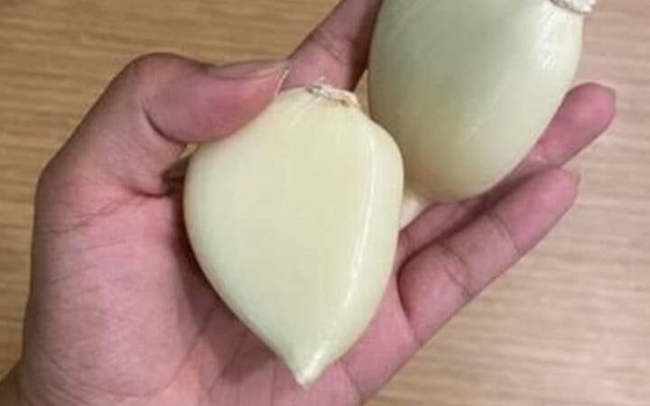 Alho de um dente ou alho pérola