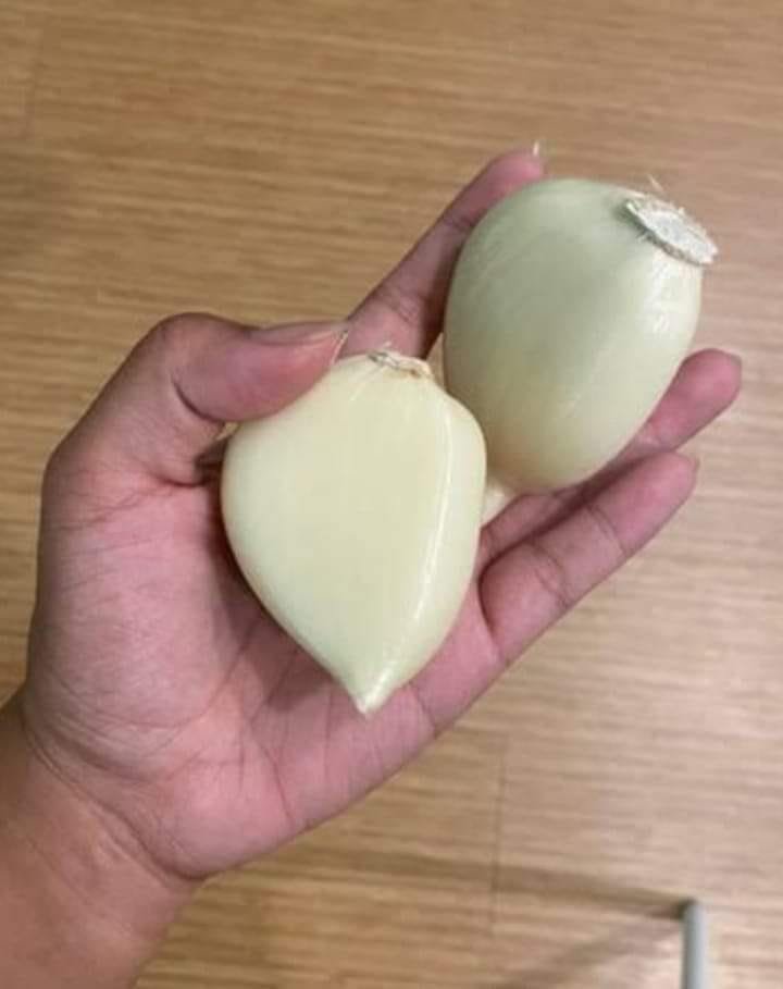 Alho de um dente ou alho pérola