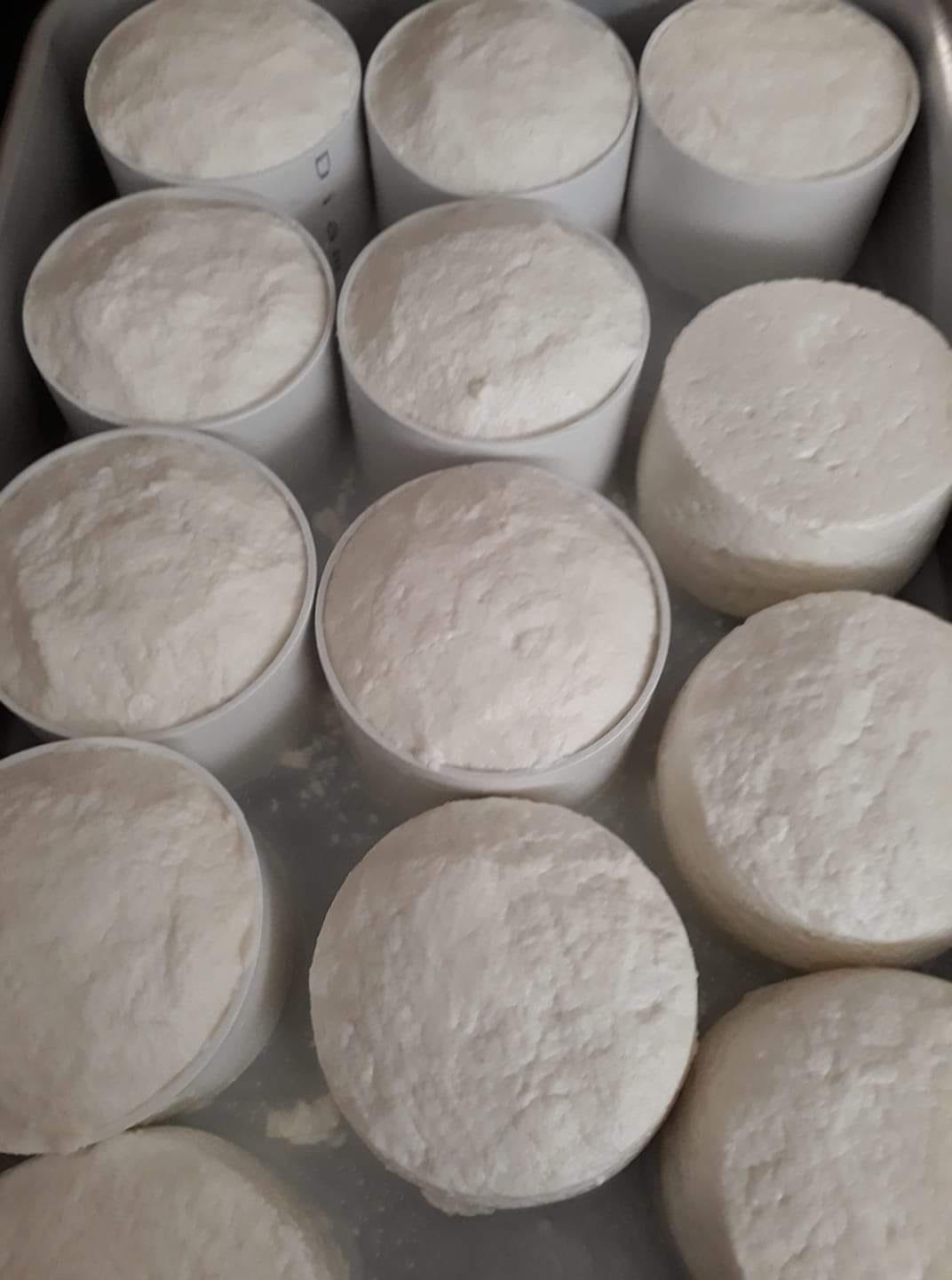 Queijo Fresquinho, como se fazia no Alentejo…