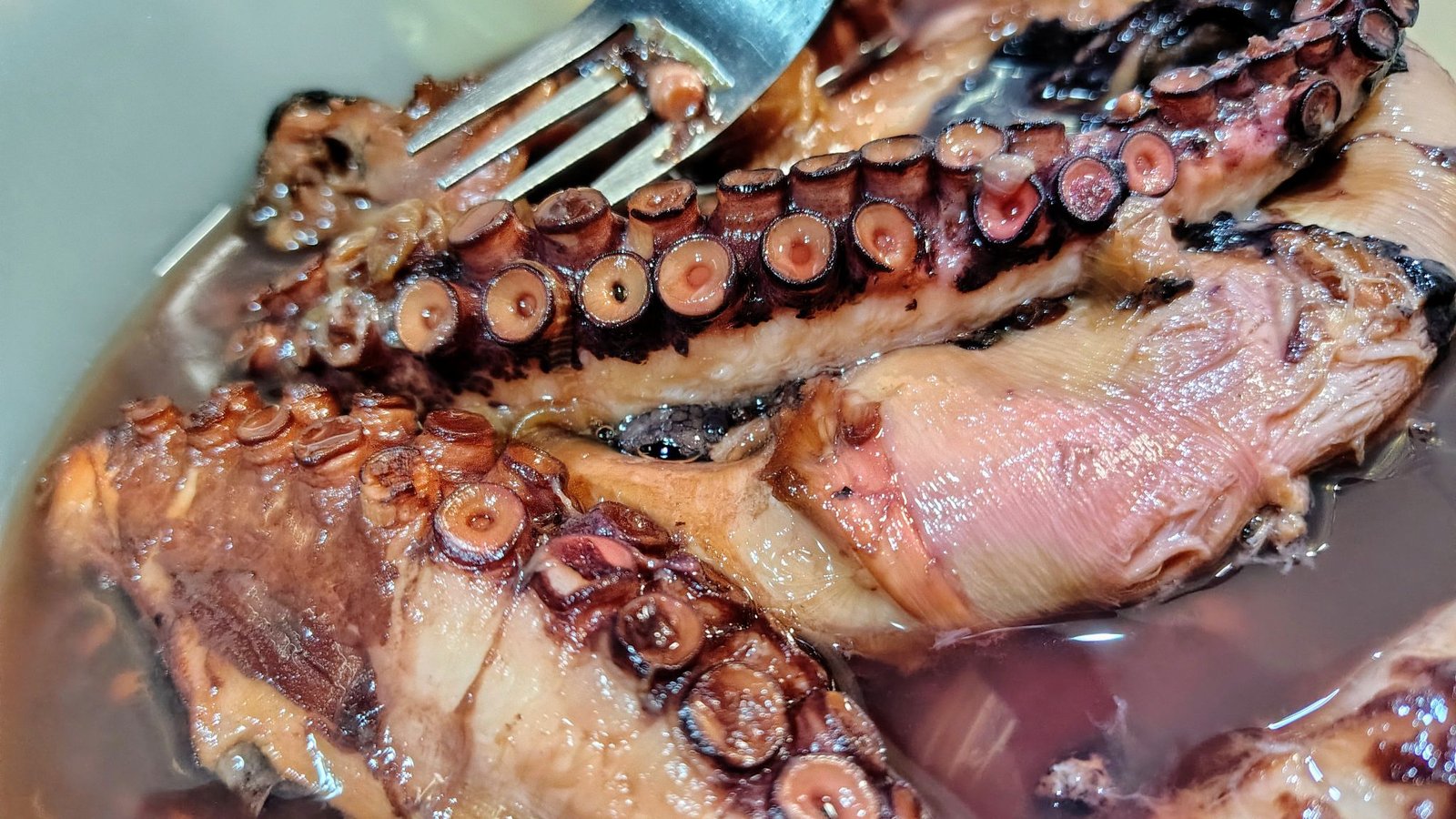 SEGREDO PARA COZER POLVO PERFEITAMENTE MACIO E SABOROSO