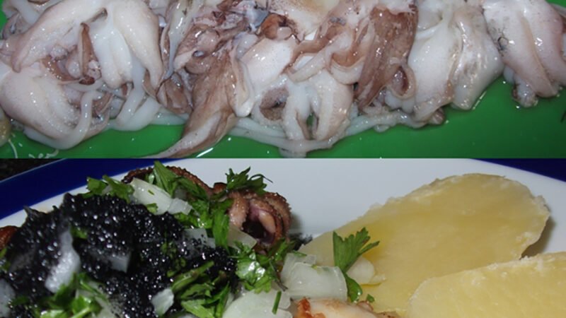 Chocos grelhados com a tinta