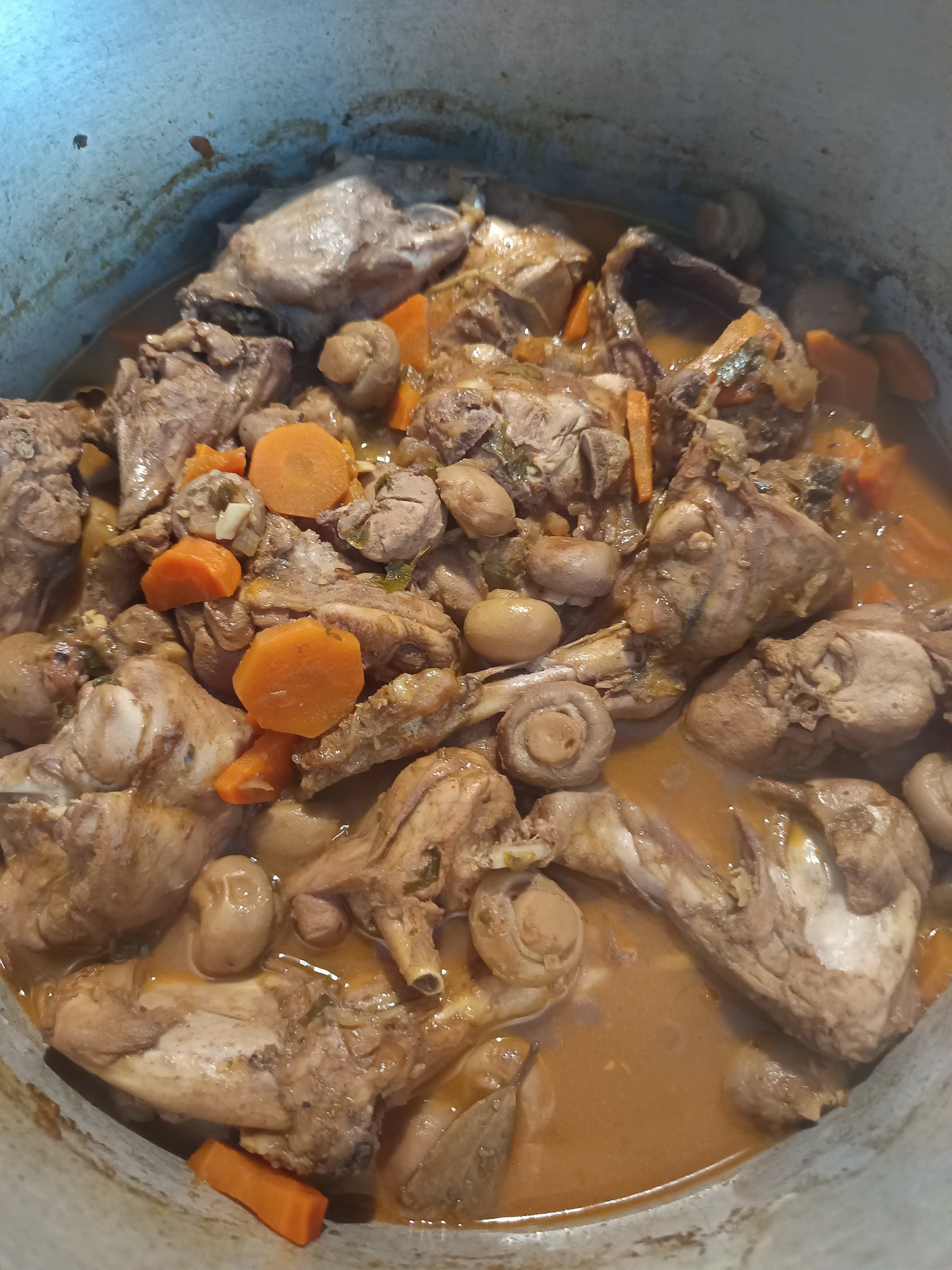 COELHO COM COGUMELOS E CENOURA