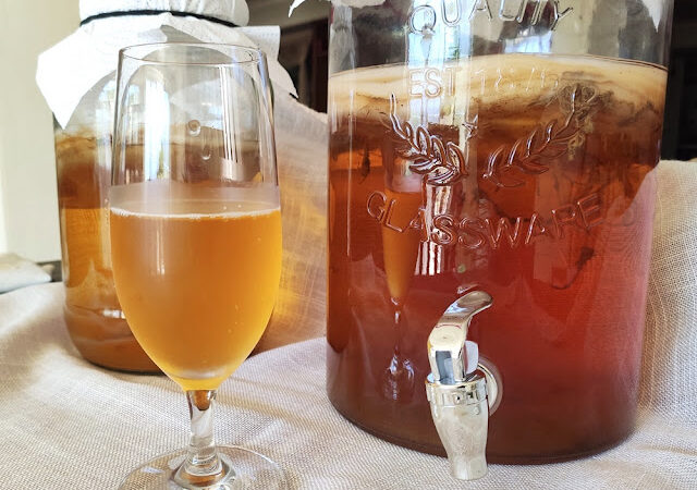 Como Fazer Kombucha passo a passo