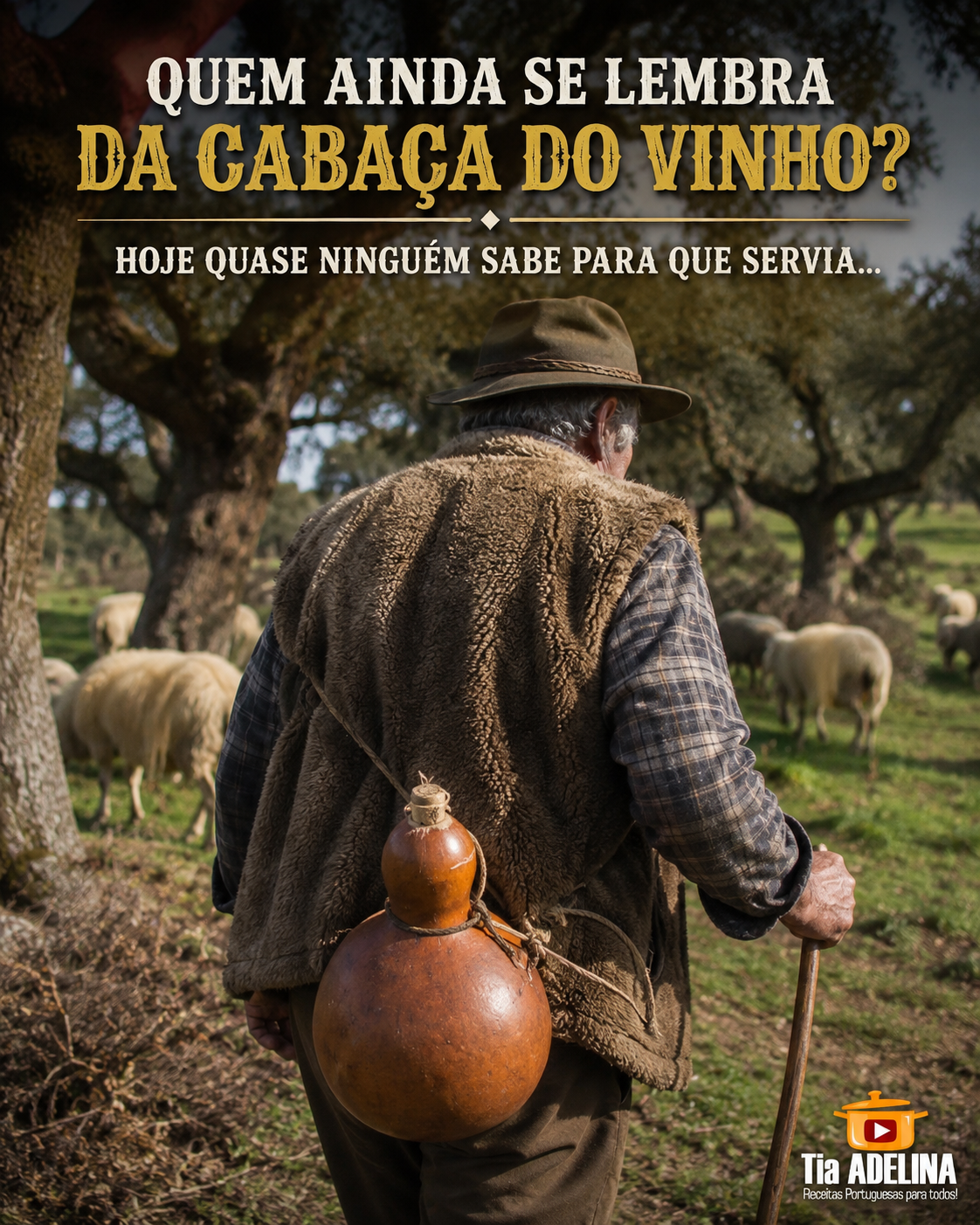 Quem ainda se lembra da Cabaça do Vinho? Hoje quase ninguém sabe para que servia…