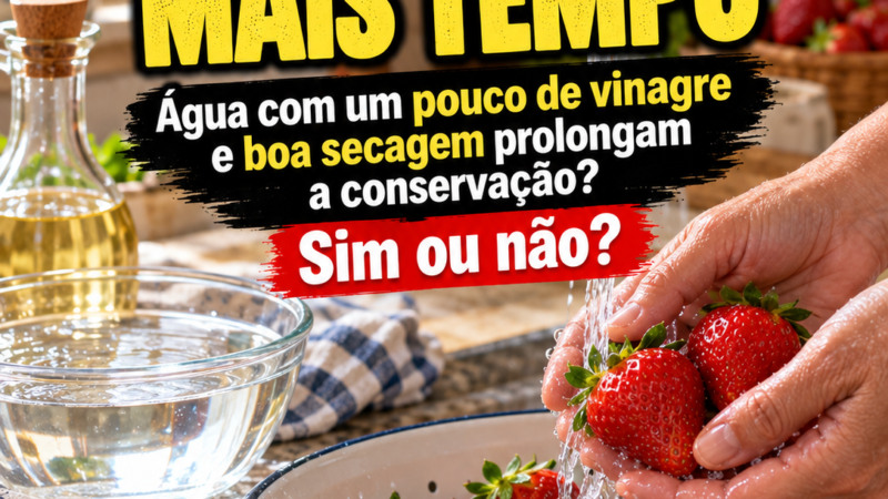 MORANGOS MAIS TEMPO. O segredo do vinagre!