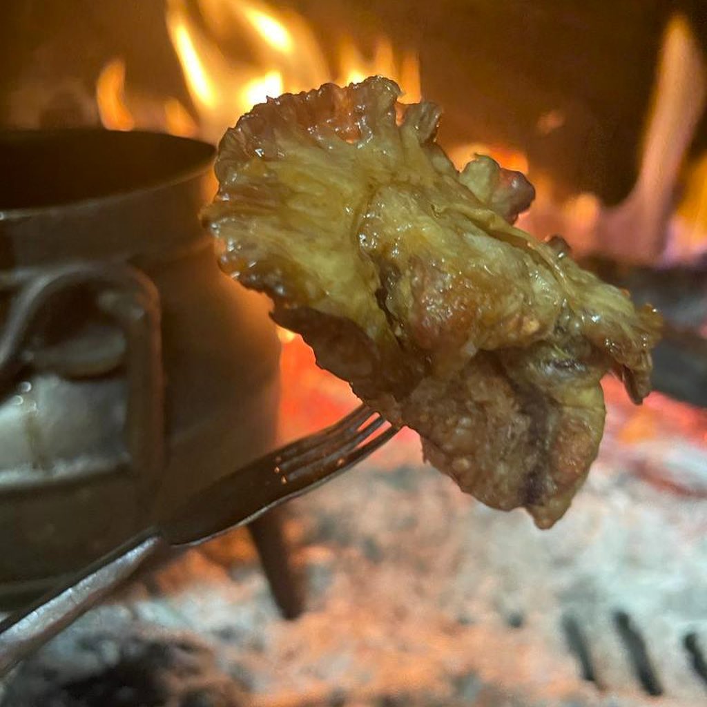 Como fazer Torresmo de Rissol de Porco servidos como entrada em muitos restaurantes típicos alentejanos